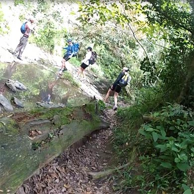 Crossing a stream in a forest glade