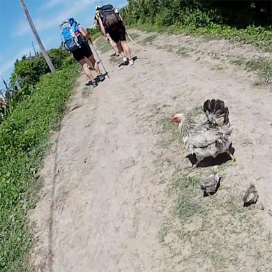 Walking through rural life in the Transkei